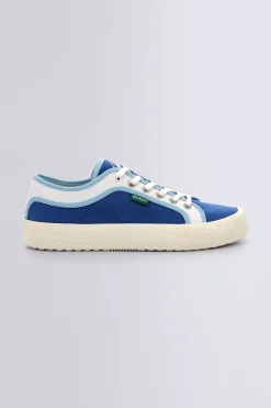 Arveil Bleu Blanc