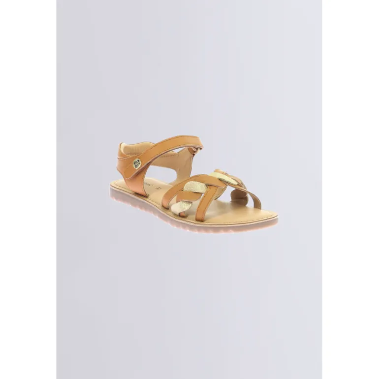 Betty Camel or