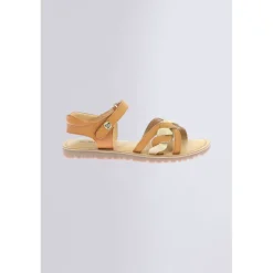 Betty Camel or
