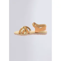 Betty Camel or