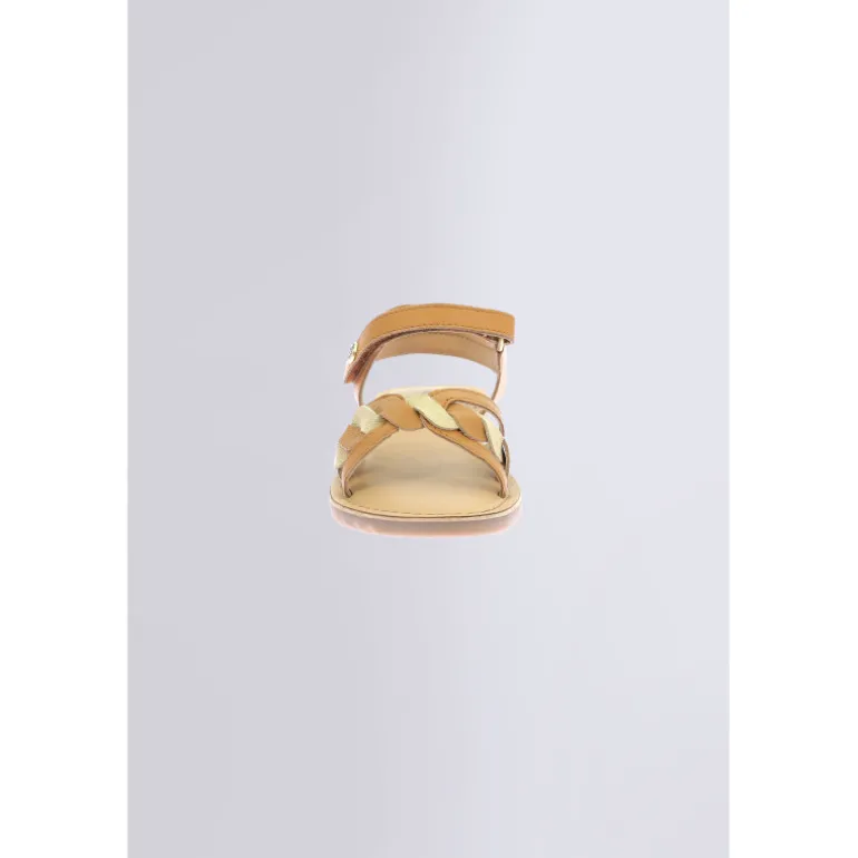 Betty Camel or