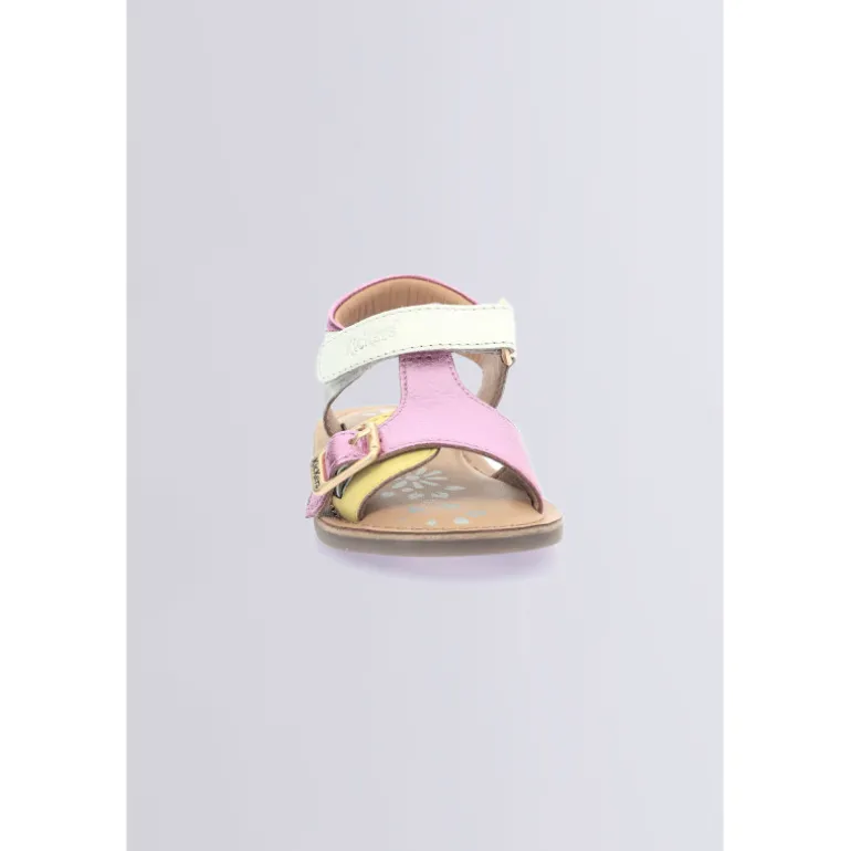 Diazz Blanc Rose (20-23)