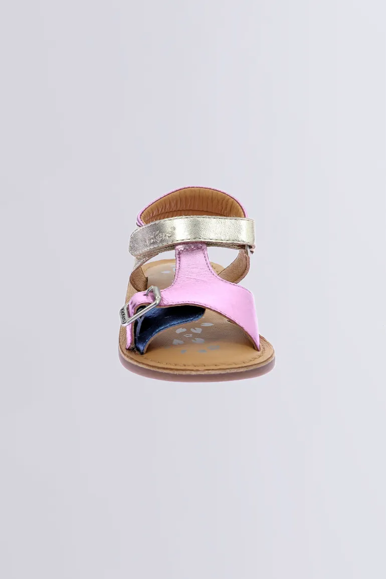 Diazz Marine Rose (24-34)
