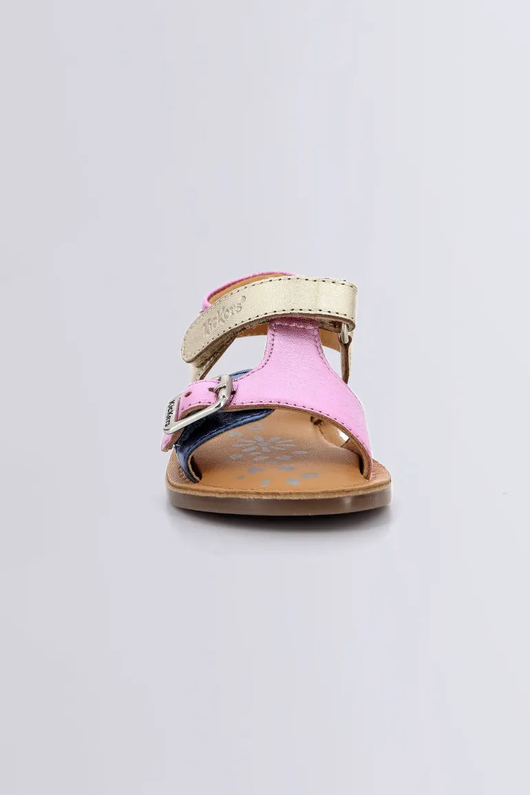 Diazz Marine Rose (20-23)