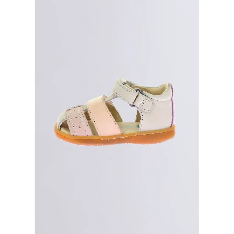 Kick Bazar Beige Rose