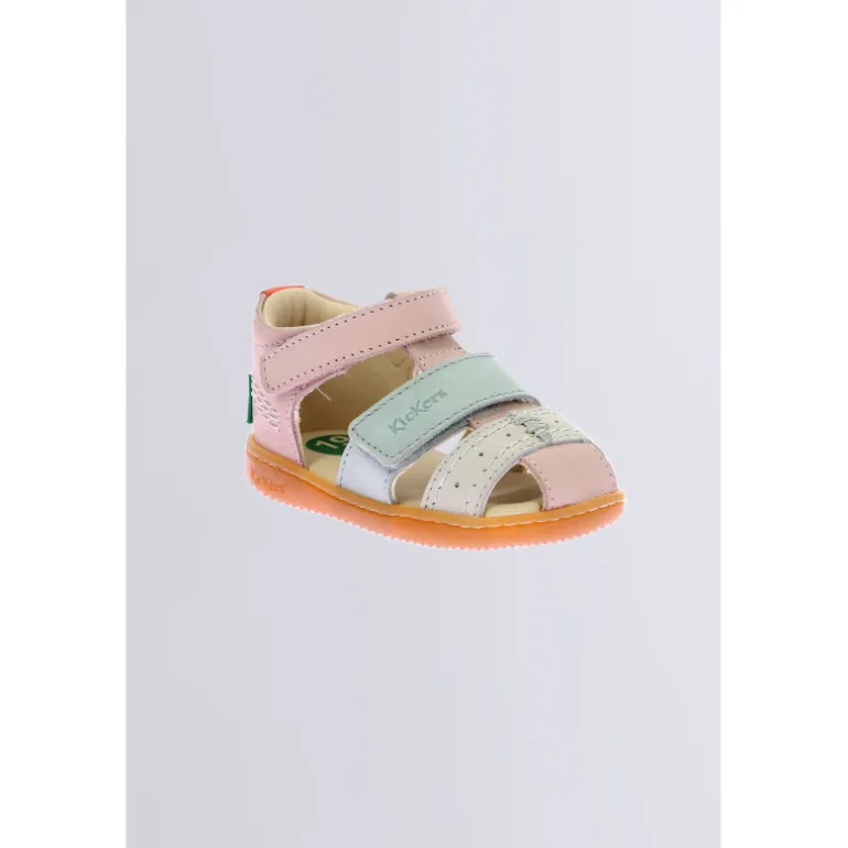 Kick bazar Rose multicolore