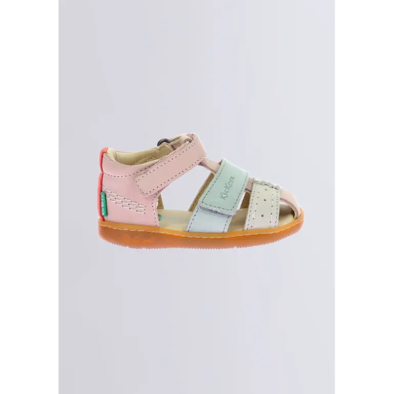 Kick bazar Rose multicolore