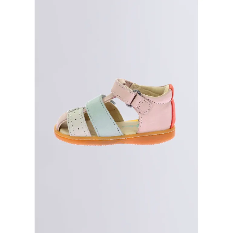 Kick bazar Rose multicolore