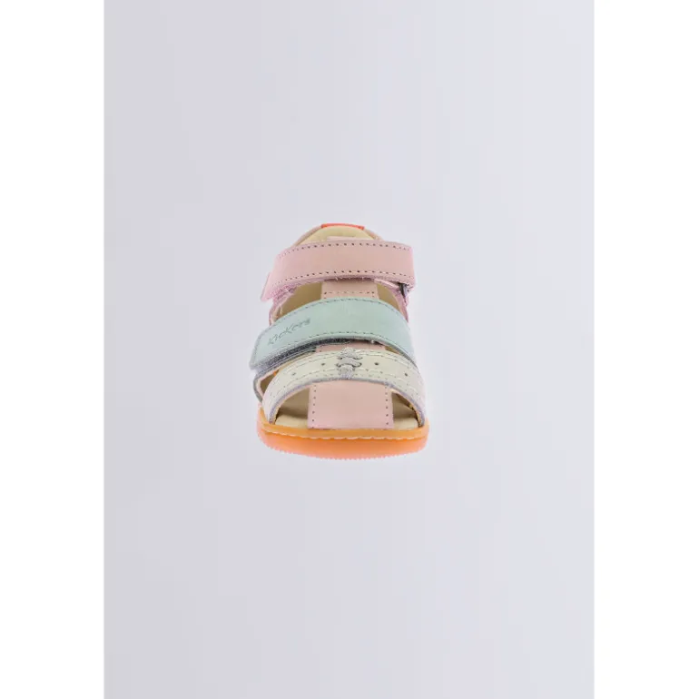 Kick bazar Rose multicolore