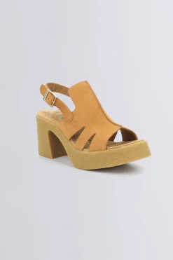 Kick Charlie Camel