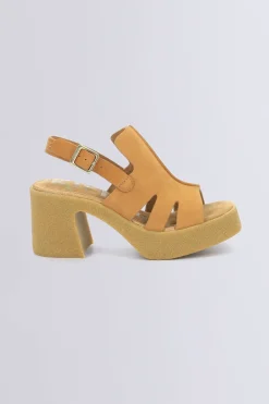 Kick Charlie Camel