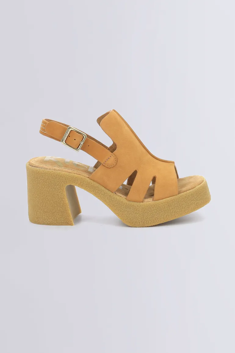 Kick Charlie Camel