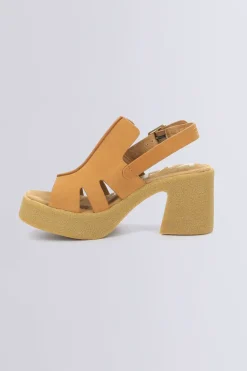 Kick Charlie Camel