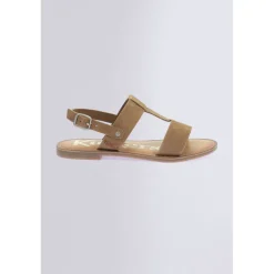 Kick Dines Camel