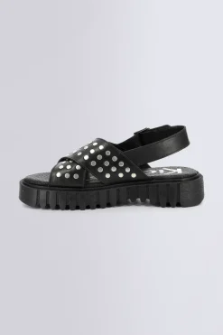 Kick Fact Noir