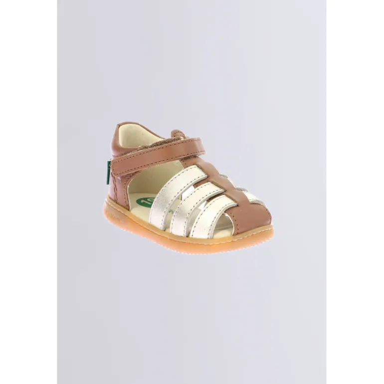 Kick Flo Camel Or