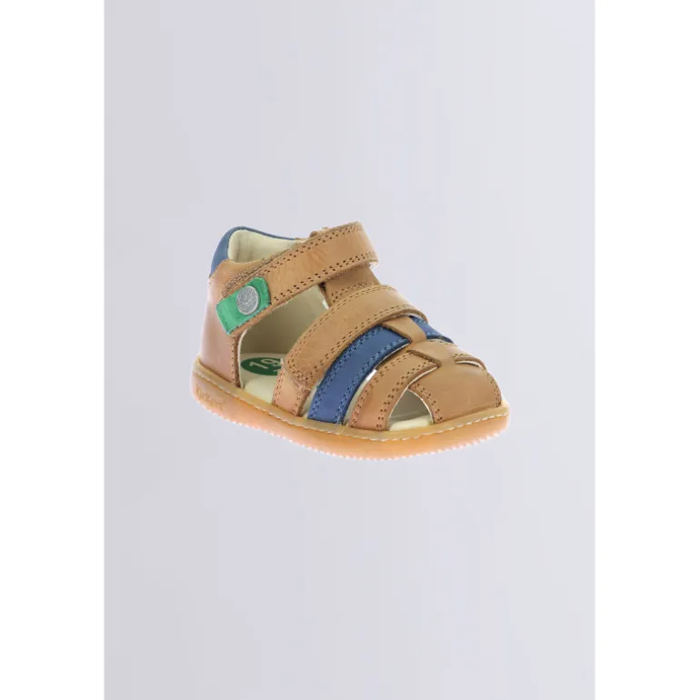 Kick Pod Camel