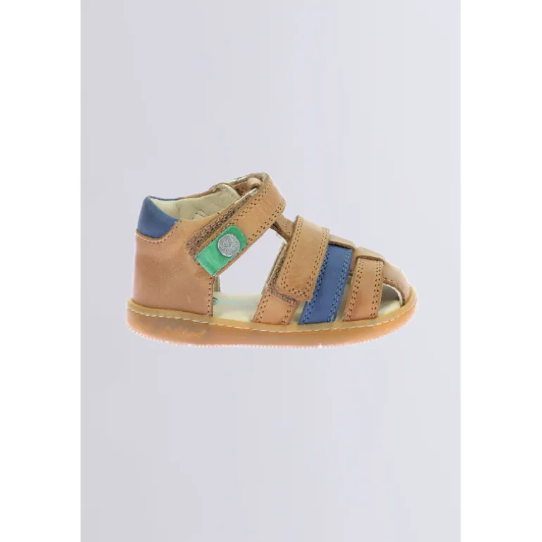 Kick Pod Camel
