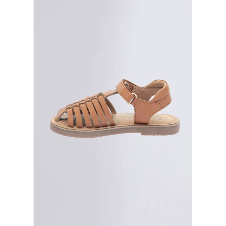 Kick Preklo Camel