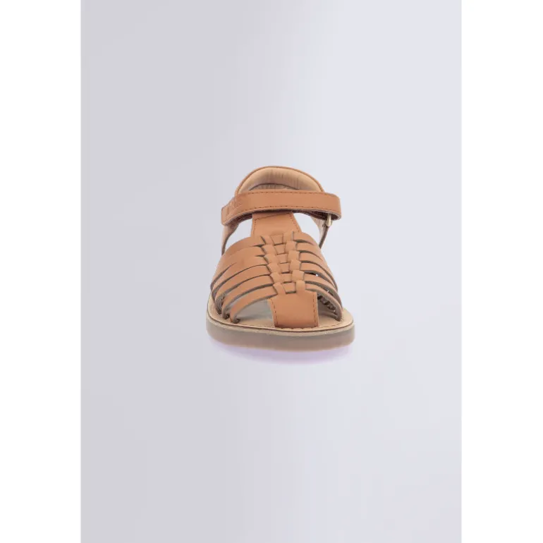 Kick Preklo Camel