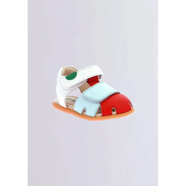 Kick Sumkratch Blanc Rouge Bleu