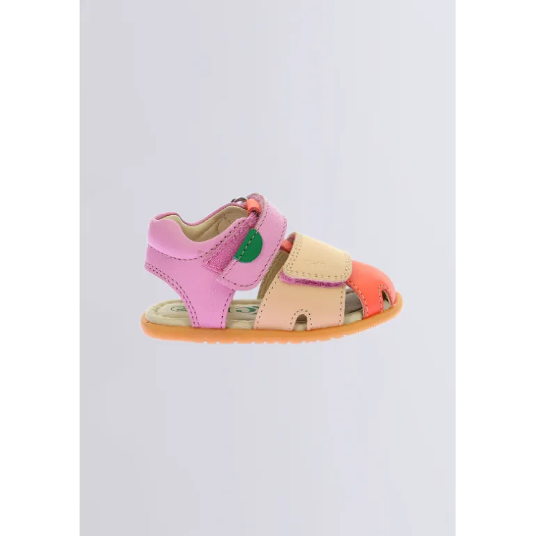 Kick Sumkratch Rose Orange
