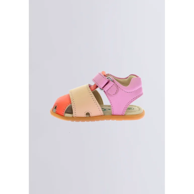 Kick Sumkratch Rose Orange