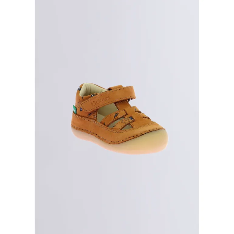 Kick Sushyk Camel Zèbre