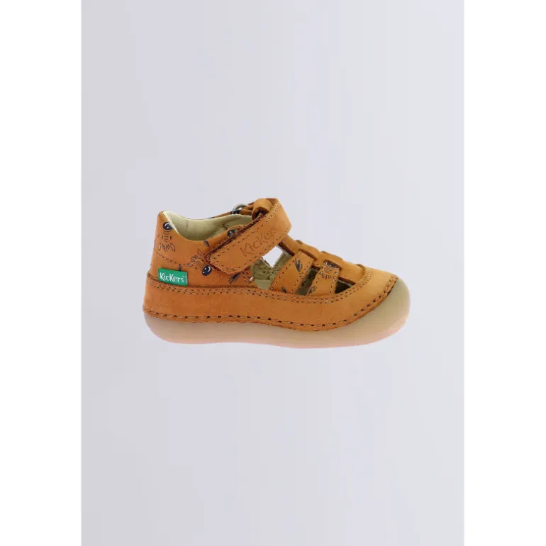 Kick Sushyk Camel Zèbre