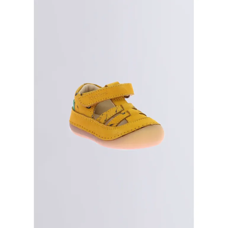Kick Sushyk Jaune Zèbre