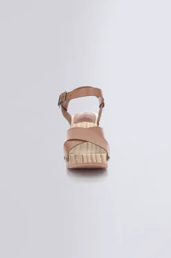 Kick Wise Camel