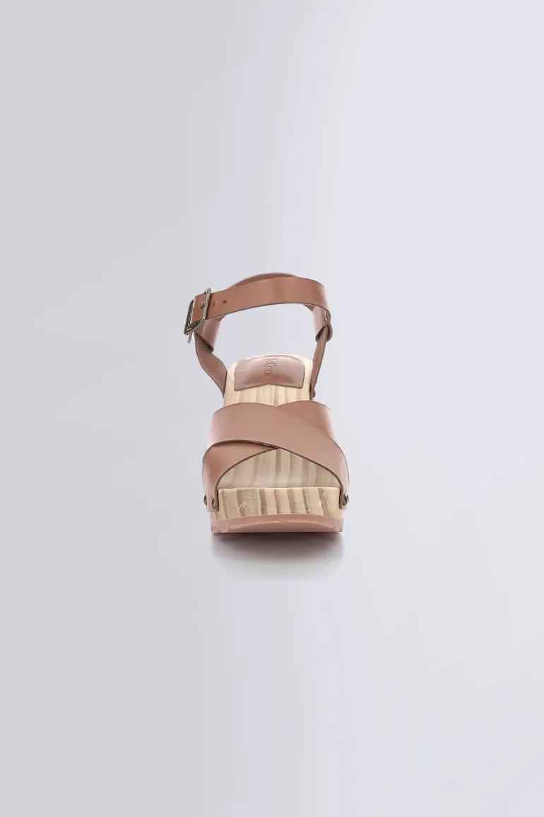 Kick Wise Camel