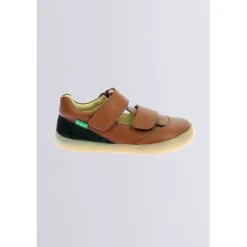 Kickbloom Camel