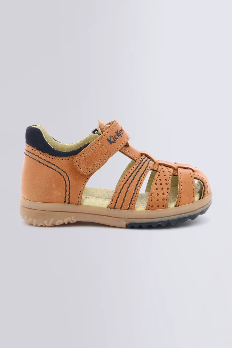 Platiback Camel