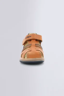 Platiback Camel