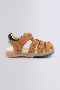 PLATINIUM CAMEL (28-38)