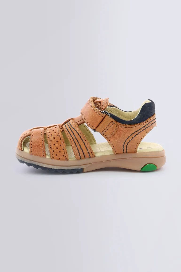 PLATINIUM CAMEL (28-38)