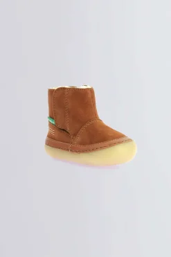 Sokifaune Camel