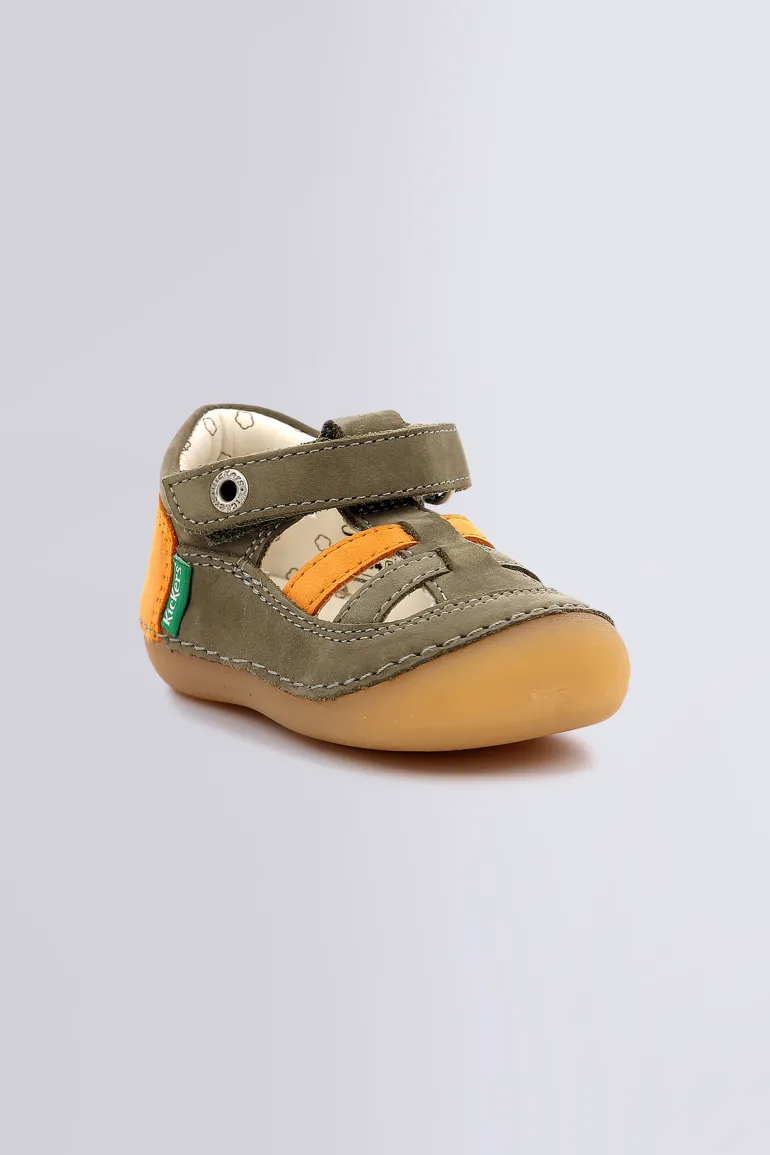 Sushy Kaki Orange