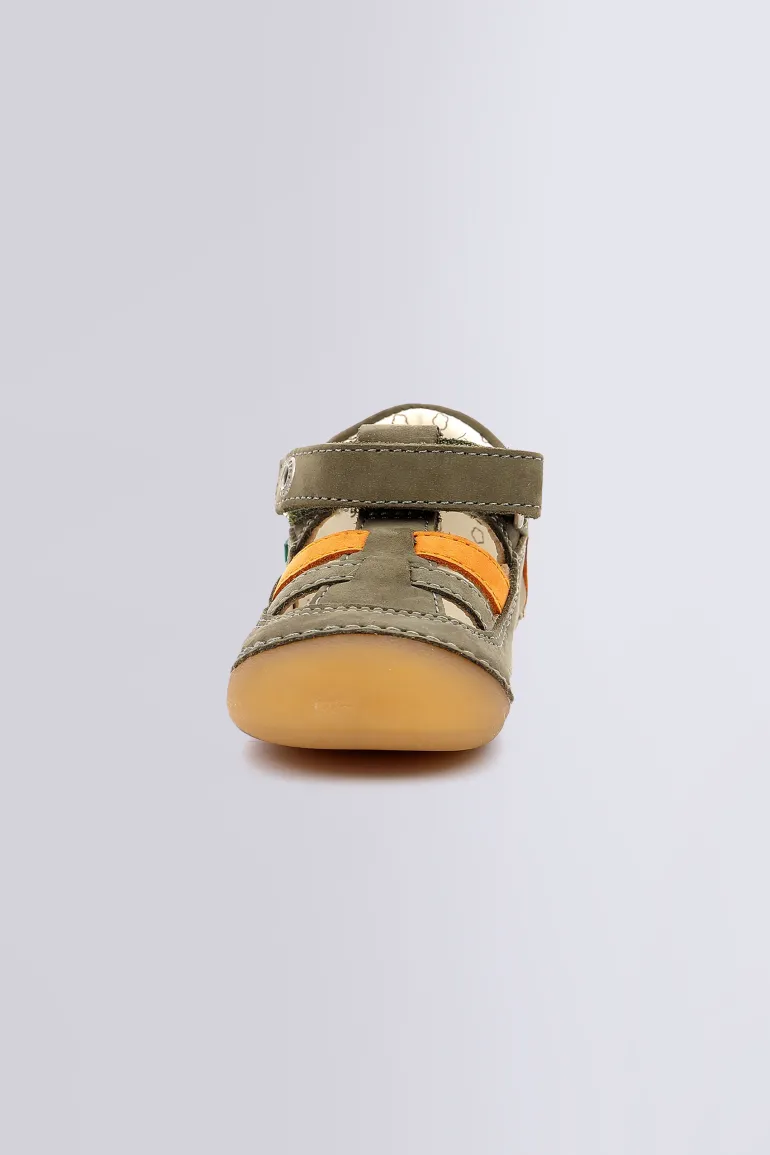 Sushy Kaki Orange