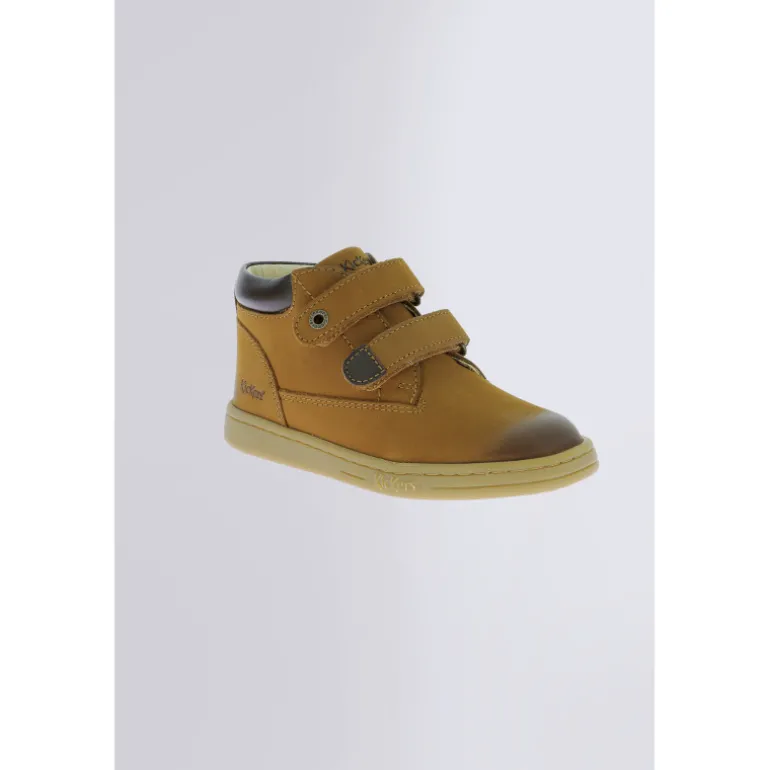 Tackeasy Camel (24-36)