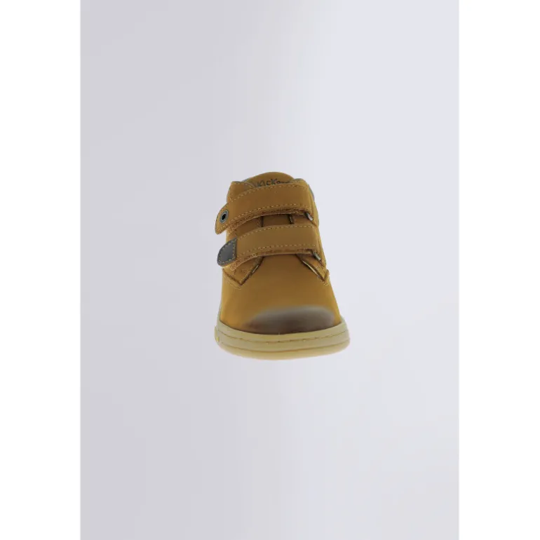 Tackeasy Camel (24-36)
