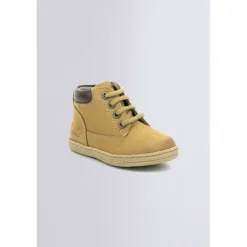 Tackland Camel (18-23)