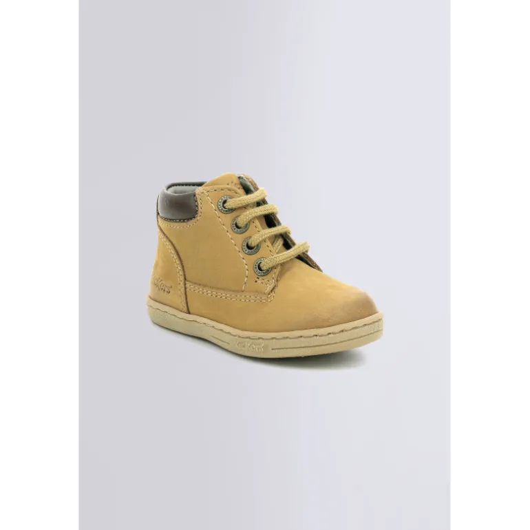 Tackland Camel (18-23)