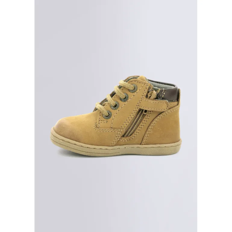 Tackland Camel (18-23)