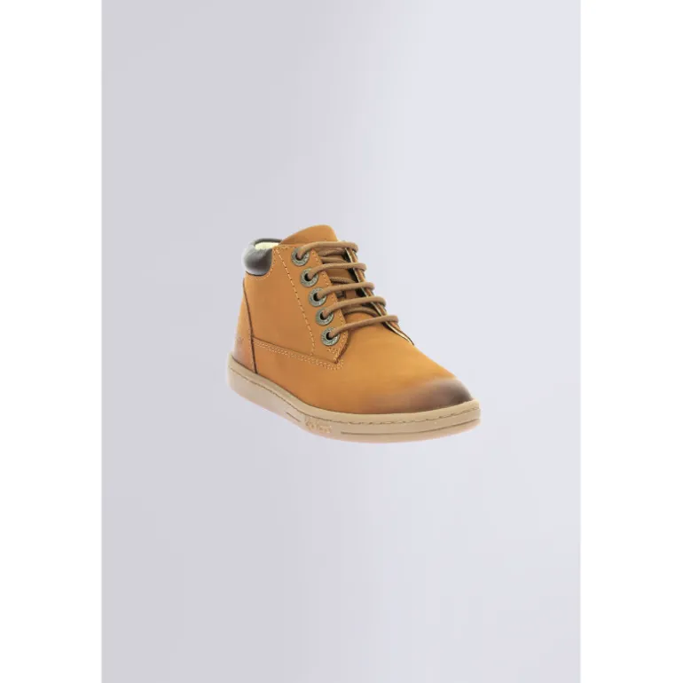 Tackland Camel (24-36)