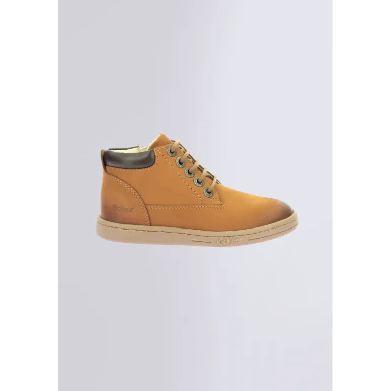 Tackland Camel (24-36)