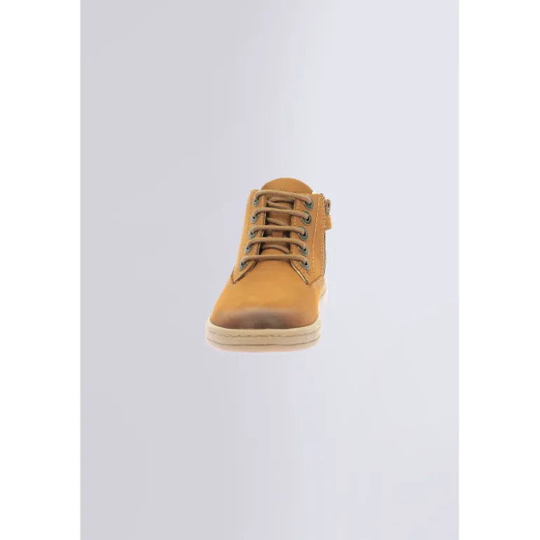Tackland Camel (24-36)