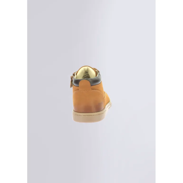 Tackland Camel (24-36)