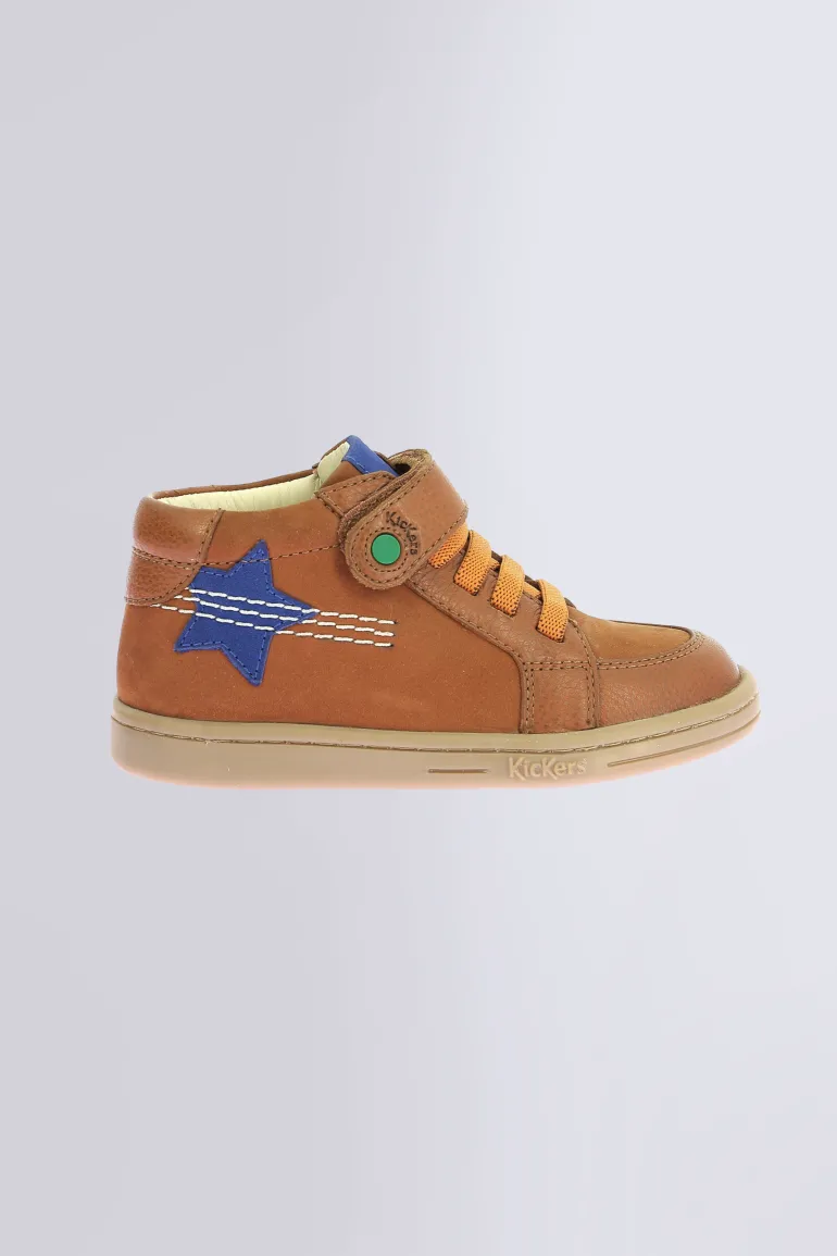 Tackstari Camel
